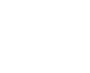 Lollapalooza Logo